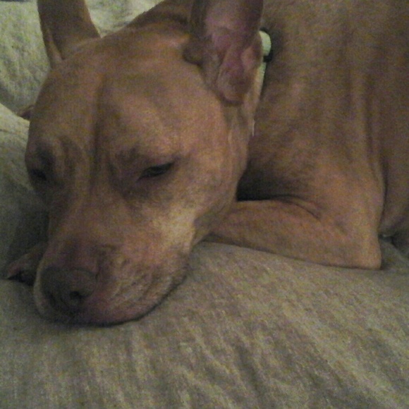 Meet your Posher, Gloria - Picture 2 of 3